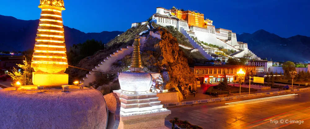 Night Attractions