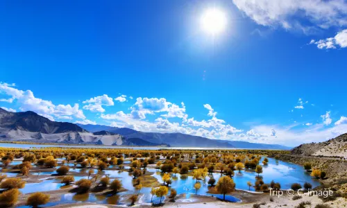 Yarlung Zangbo Grand Canyon