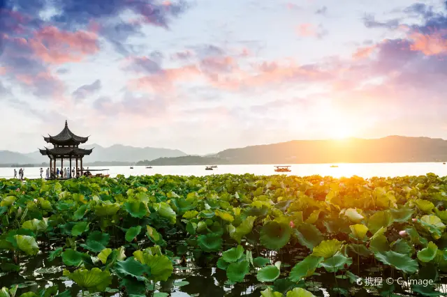 Lotus Viewing in Hangzhou