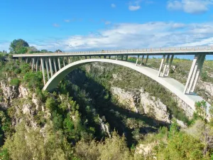 Parco nazionale Tsitsikamma