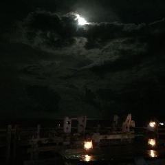 SEA STORY User Photo