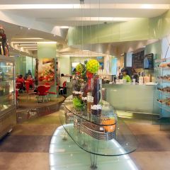 Lemon Garden 2Go User Photo