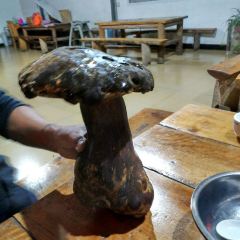 翠竹园野生菌火锅店 User Photo