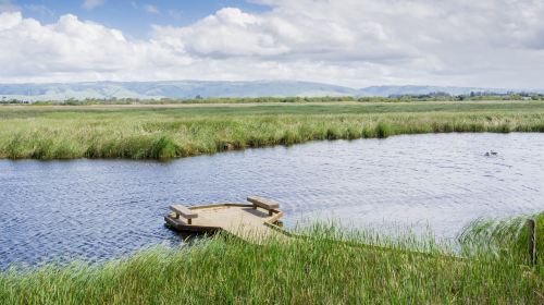 Coyote Hills Regional Park