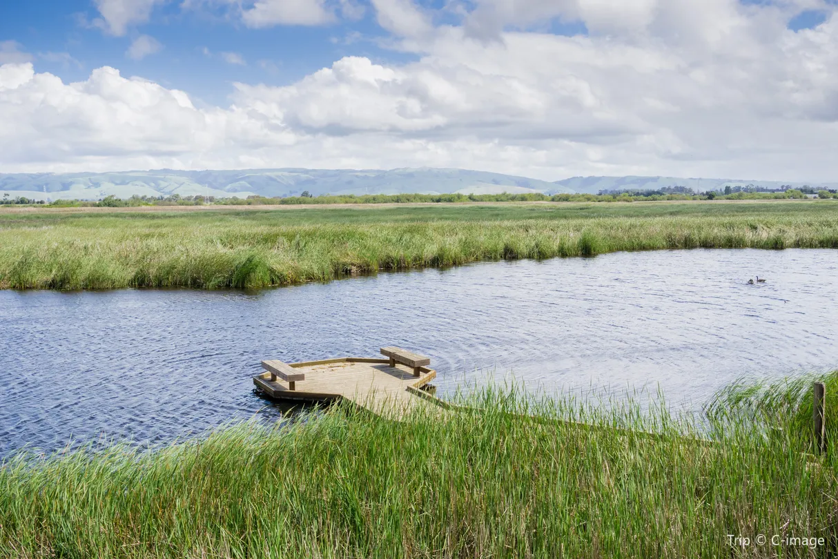 4_Coyote Hills Regional Park