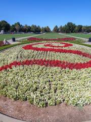 Stanford Oval