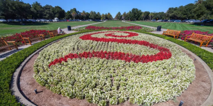 斯坦福橢圓公園