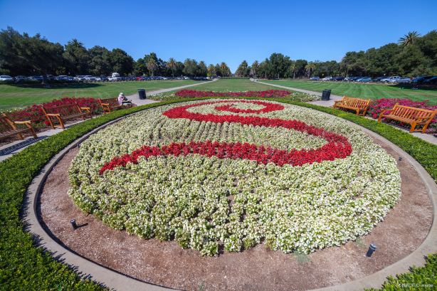 The Stanford Oval