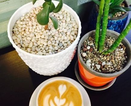 Cimarron Coffee Roasters