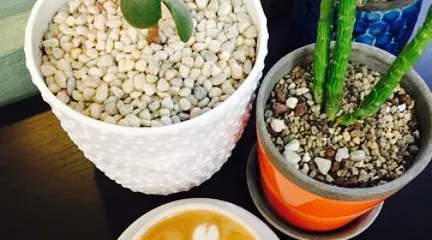 Cimarron Coffee Roasters