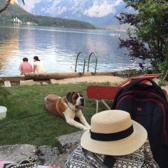 Gasthof Simony Restaurant am See User Photo