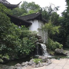 Quyuan Tea House(Changchun Road Branch) User Photo