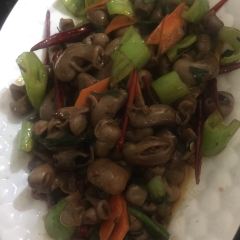 Haihuayouyuzhengjiaoguan User Photo