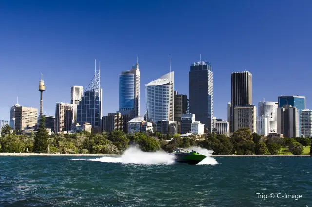 Sydney Boat Experience