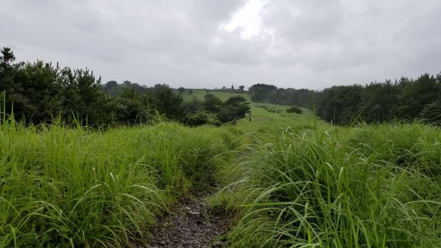 山君不離