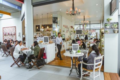 Chelsea's Cup N' Cake