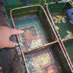 博鼇亞洲論壇大酒店怡景西餐廳張用戶圖片