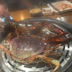 丽贝蒸鲜工坊 User Photo