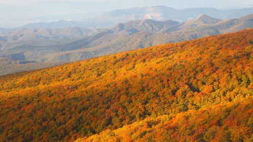 八甲田山