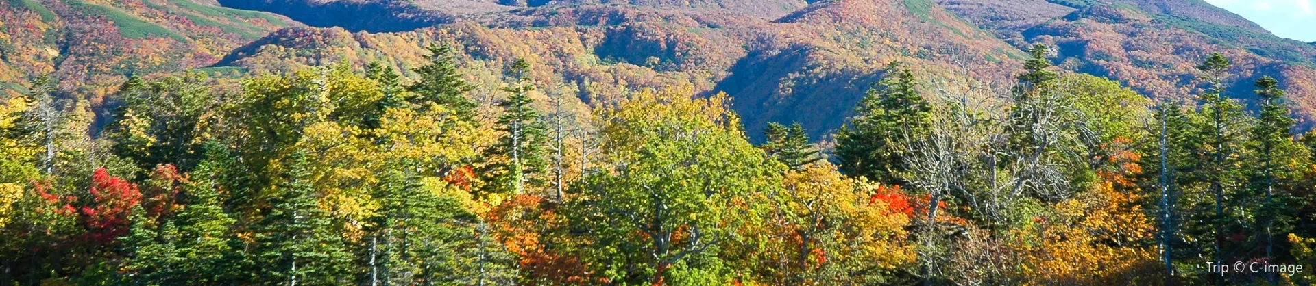 Attrazioni per la visione autunnale