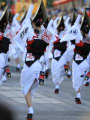 Awaodori Kaikan