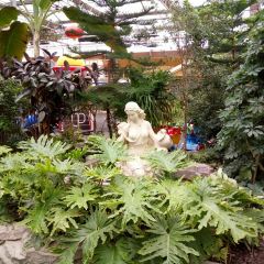 白云生态园 User Photo