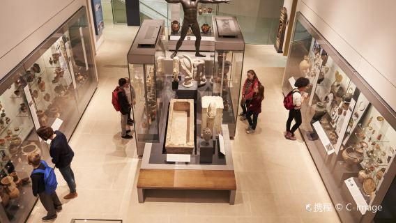 美國華盛頓史密森博物館半日遊【1.5小時普通話解說服務】