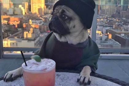 老城街小面(宿迁学院店)