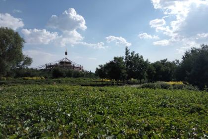 KFC (dongheweiduoli)