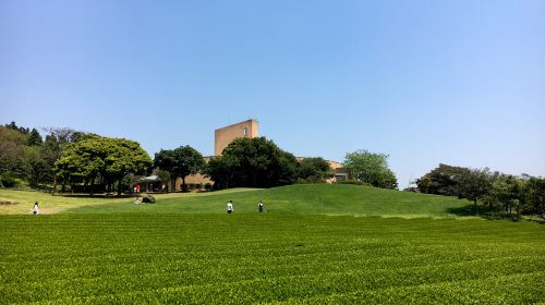 Osulloc Tea Museum