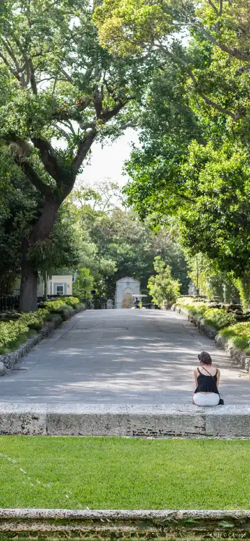 Hotels near Coconut Palace