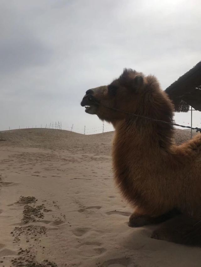 장예 국립사막 체육공원