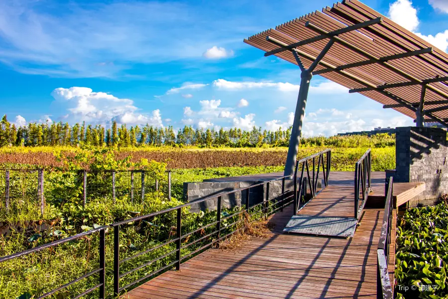 Huafa Aquatic Villa Provincial Wetland Park