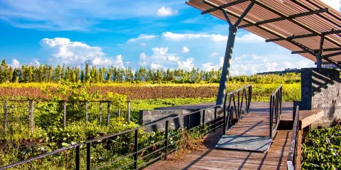 華髮水郡省級濕地公園