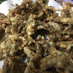 发记四川大盆鱼 User Photo