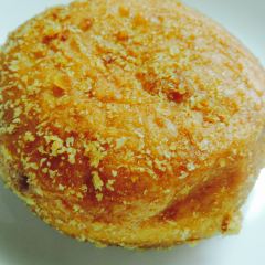 PICOT 여행 사진