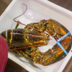 Fishman Lobster Clubhouse Restaurant 魚樂軒 User Photo