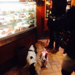 Cantine del Vino gia Schiavi User Photo