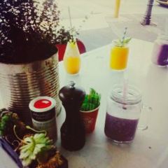 Dear Jervois 여행 사진