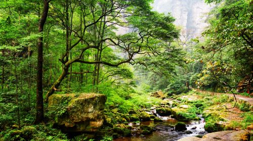 Zhangjiajie National Forest Park