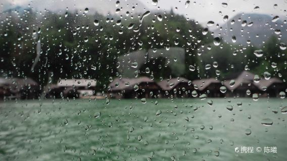 慕尼黑+國王湖+魔法森林一日遊