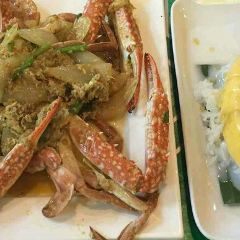 Green Bird User Photo