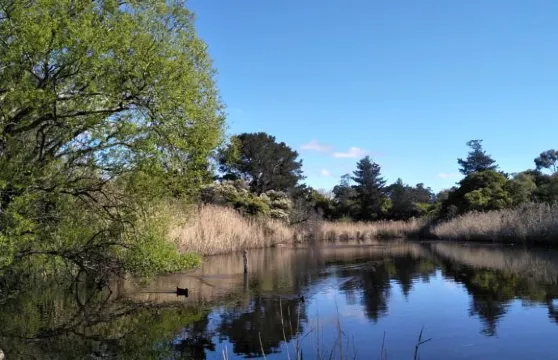 6間卧室/9床大型度假屋|城市+公園美景|海灘