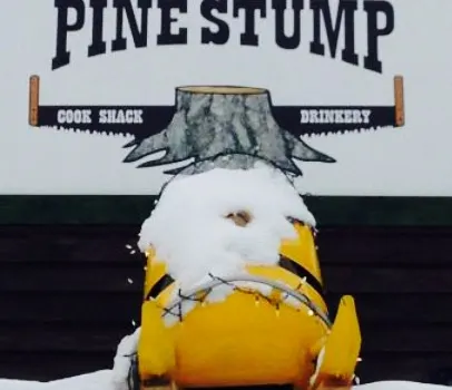 Pine Stump