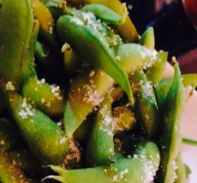 Gaysha New World Sushi Bar