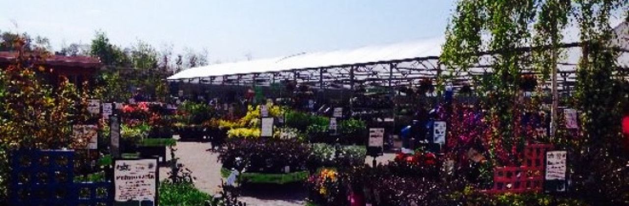 The Glasshouse Restaurant