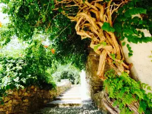 Restaurant Domaine de l'Eau Vive