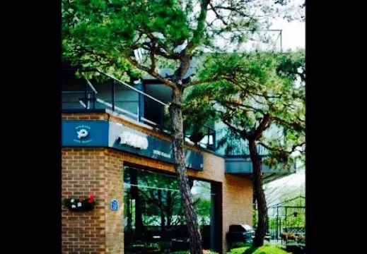 Bistro Italiano Pino