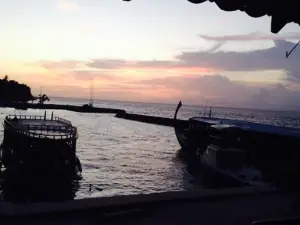 Pilot Whale Cafe'.