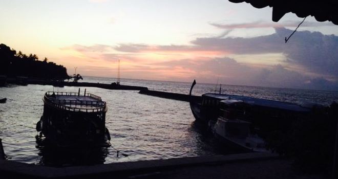 Pilot Whale Cafe'.